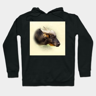 African forest buffalo Hoodie